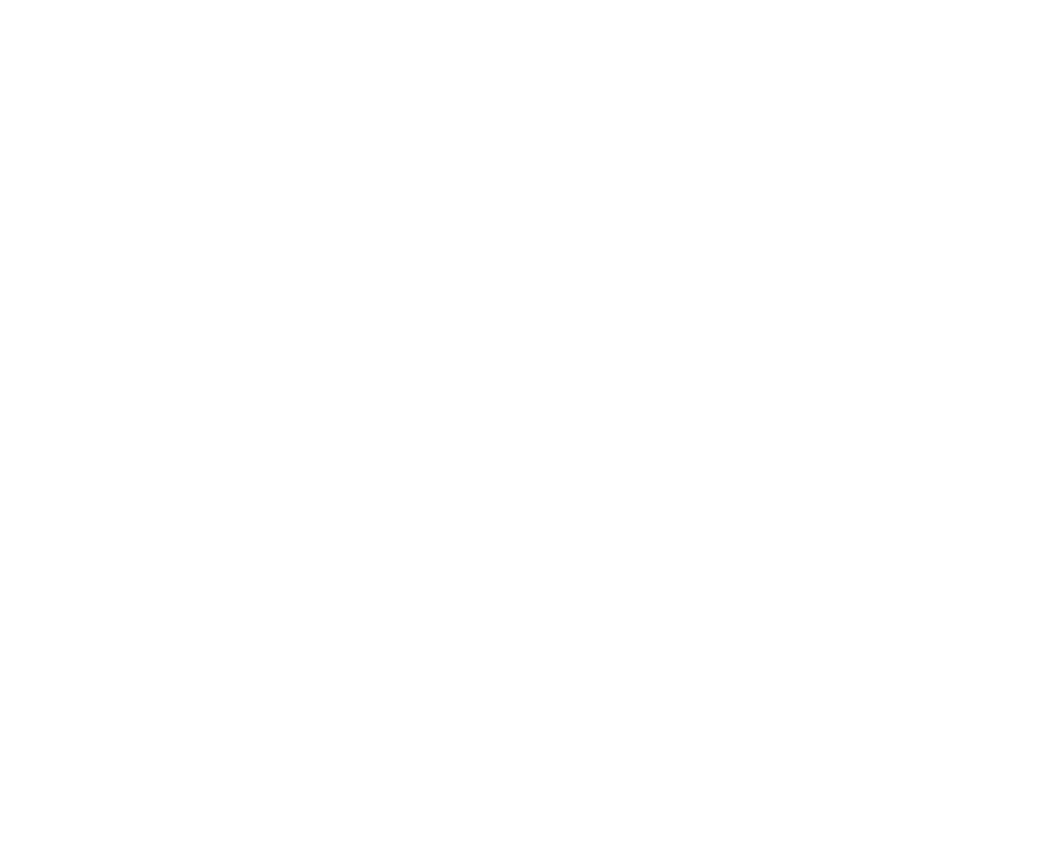 carlsberg group
